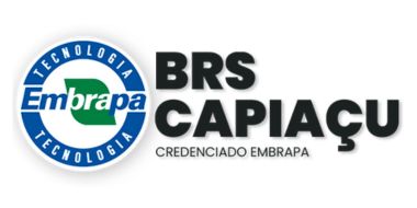 Emblema BRS Capiaçu Embrapa