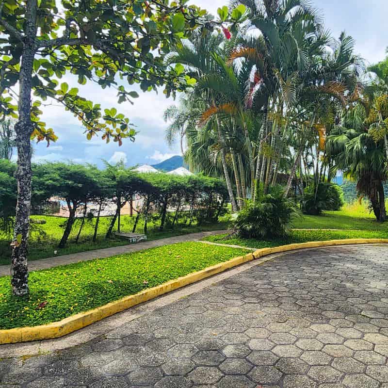 Jardim residencial com amendoim forrageiro